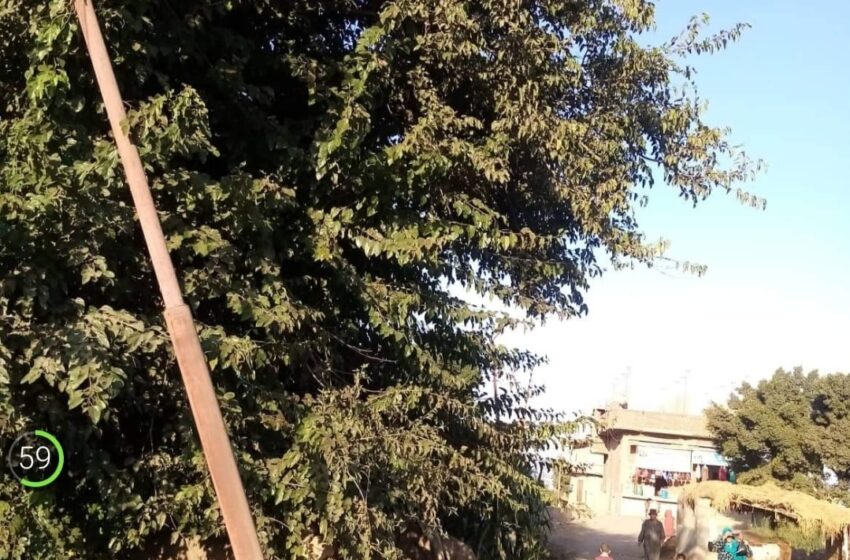 عمود كهرباء متهالك يهدد حياة سكان قرية السعادات ببلبيس