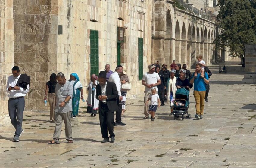  بينهن سيدات بلباس فاضح.. عشرات المستوطنين يقتحمون الأقصى