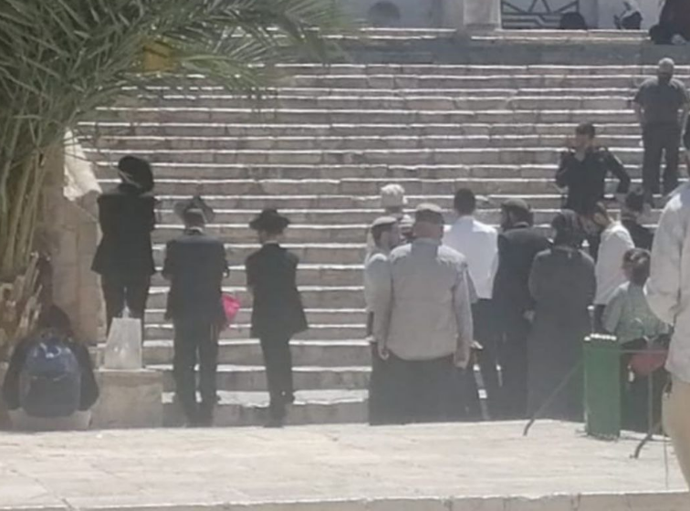 مستوطنون يقتحمون المسجد الأقصى وآخرون يجرفون دونماً في الخليل