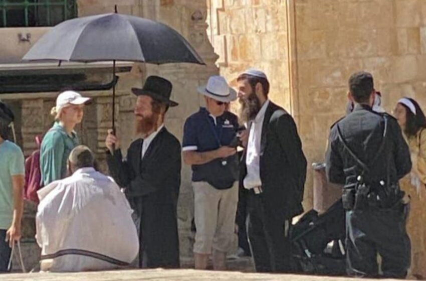  مستوطنون يقتحمون الأقصى والمتطرف غليك ينفخ بالبوق في ساحاته