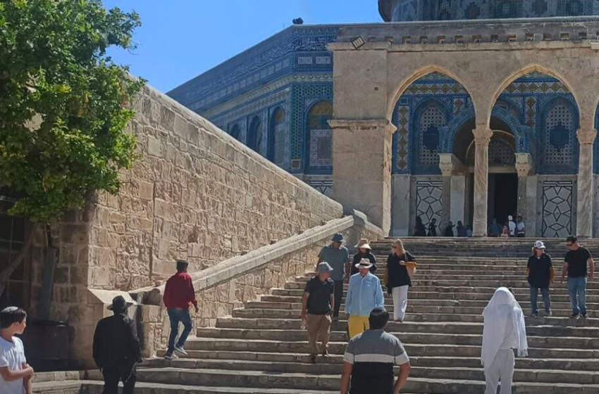  عشرات المستوطنين يقتحمون ساحات الأقصى في حراسة شرطة الاحتلال