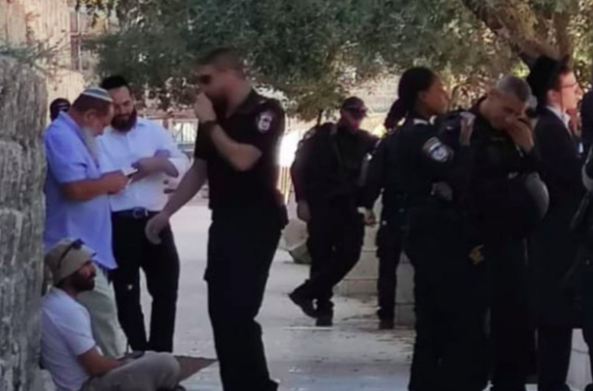  عشرات المستوطنين يقتحمون الأقصى.. واعتقال 24 فلسطينيًا