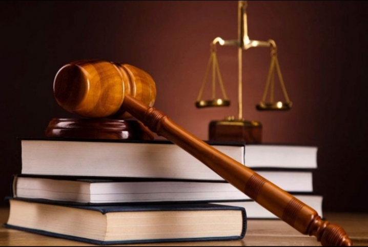  قتلا شابا.. المؤبد لشقيقين في فاقوس