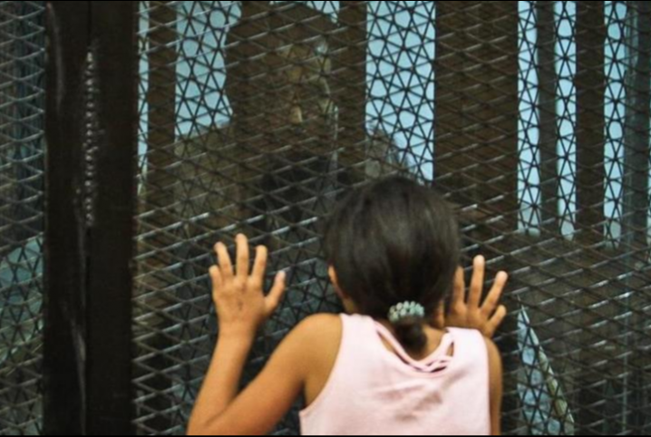 السجن والغرامة لـ4 معتقلين بمنيا القمح