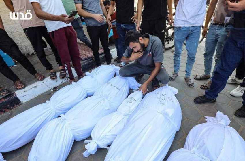  9257 شهيدًا في العدوان الإسرائيلي على قطاع غزة